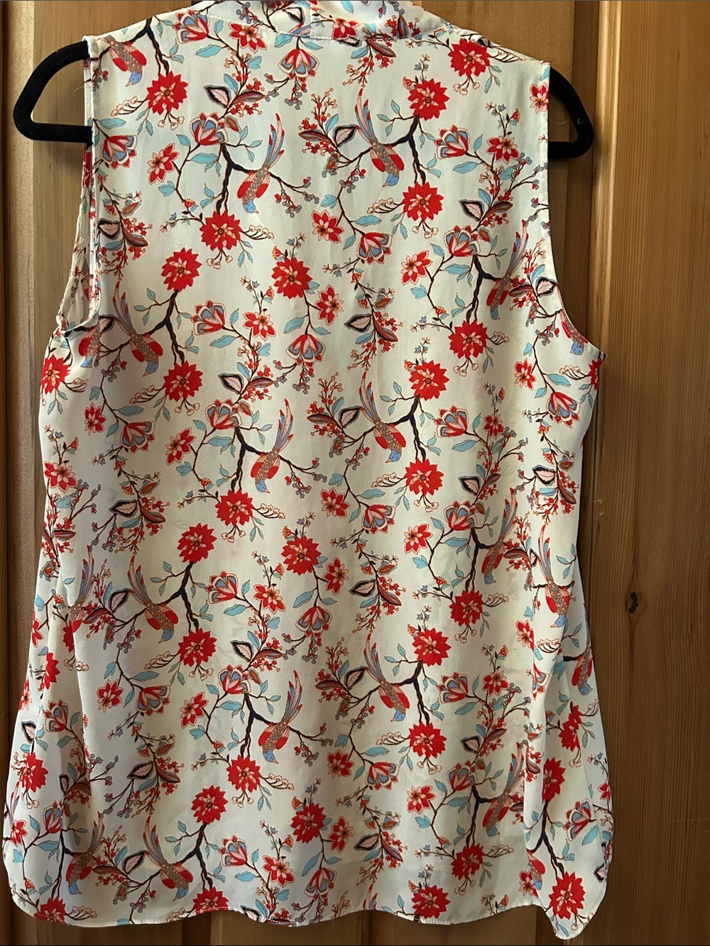 Rose & Olive Cream Floral V-Neck Sleeveless Top with Red & Light Blue Accents - Picture 6 of 11